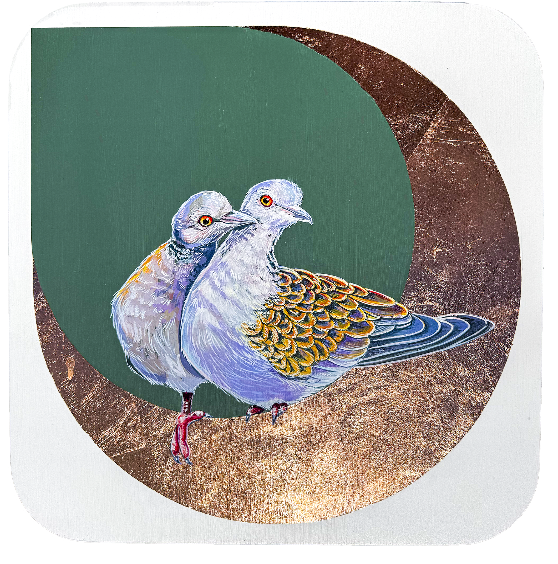 These two rock pigeons are cuddling up against a background of teal and copper leaf.