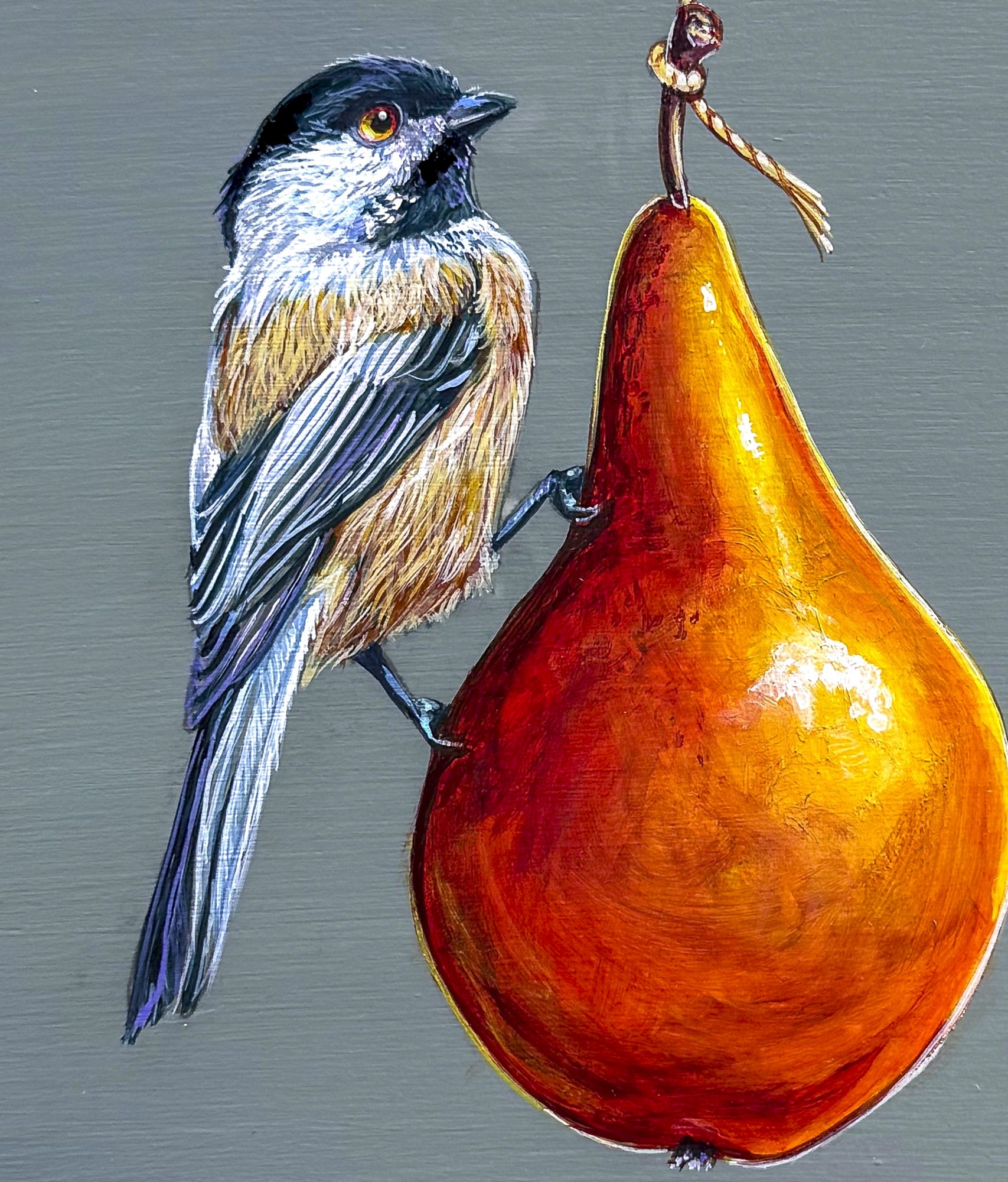 Closeup of dark blue, tan, and white Blackcapped Chickadee perched on pear hanging from light string; gray background on natural wood panel; Marie Lavallee artist