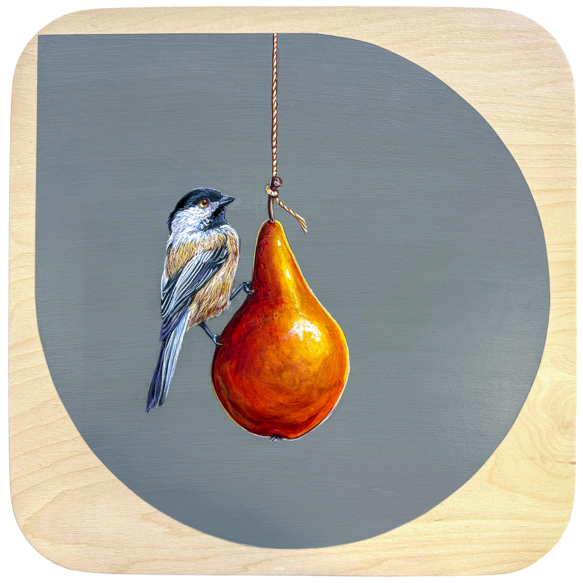 Dark blue, tan, and white Blackcapped Chickadee perched on pear hanging from light string; gray background on natural wood panel; Marie Lavallee artist