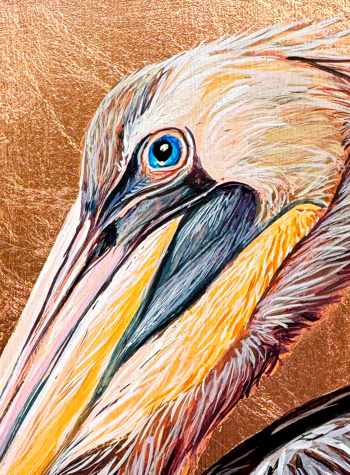 This close up image shows the fine details of the pelican's head including the details of the feathering and the crystal blue eye.
