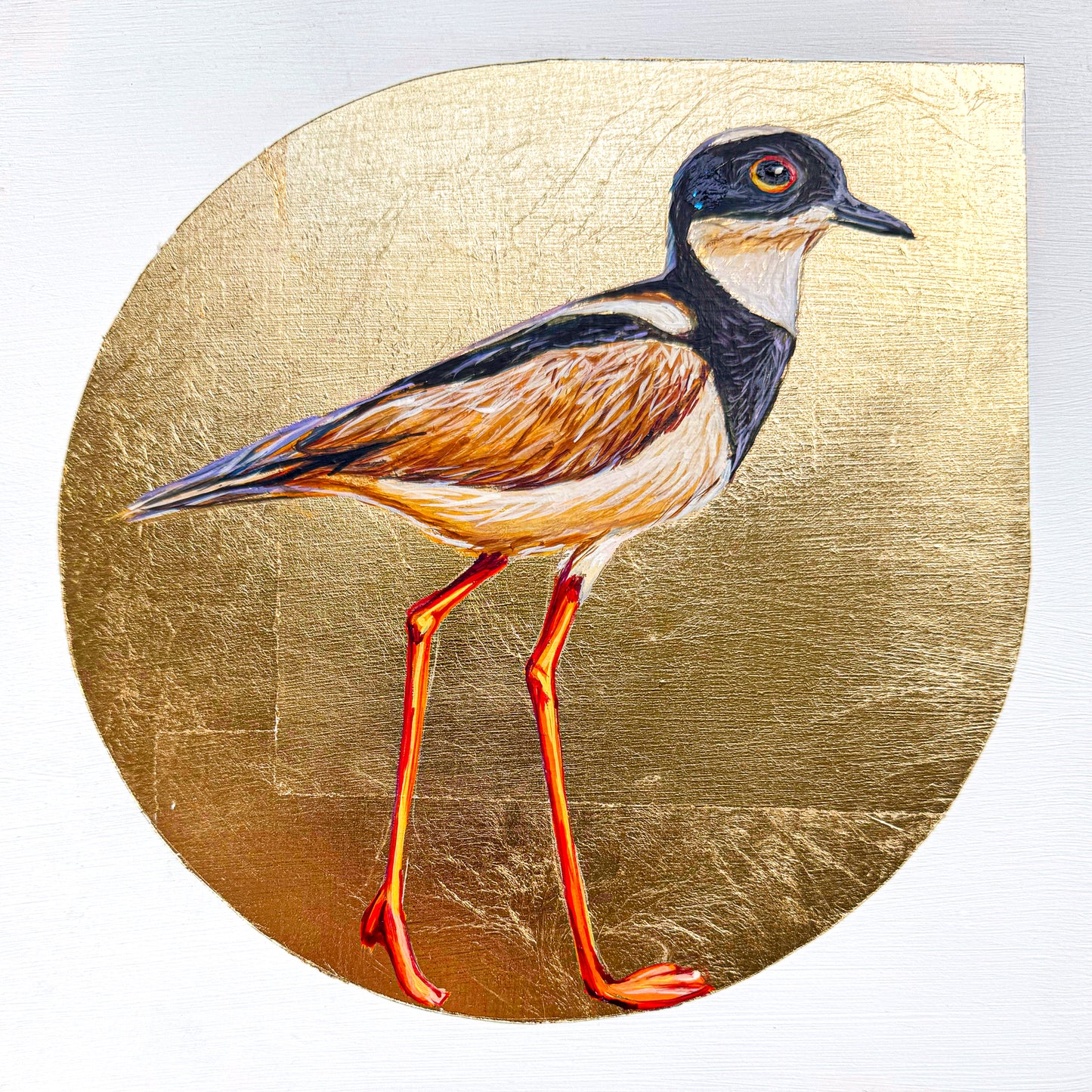A Pied Lapwing Plover is poised against a background of gold leaf. There are fine details in the featuring in hues of brown, black and cream. Long legs show the delicacy of this water fowl.