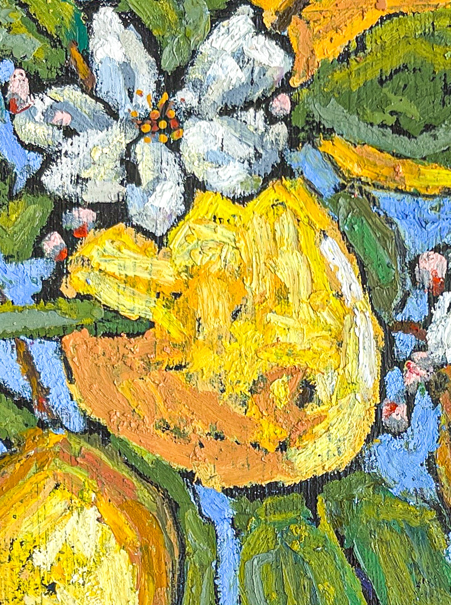 This close up of one of the lemons shows that there are a number of shades of yellow that form the lemon. It also shows the fine lines of the white bloom.