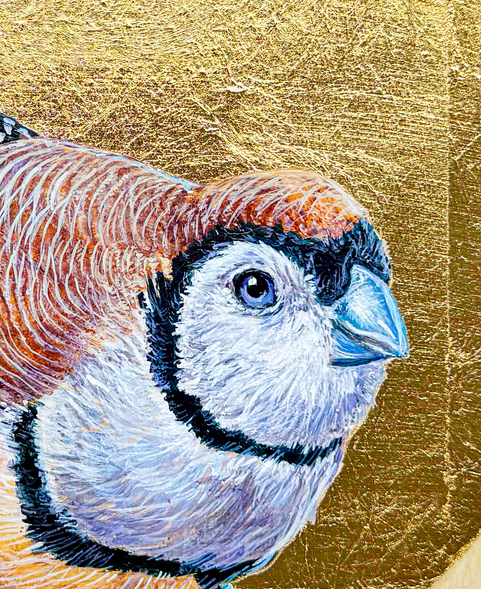 This close up image shows the fine detail of the feathers. On the face and under the beak the feathers are a mixture of white and grays. The top feathers are brown and orange. The finches blue eye looks out of the painting.
