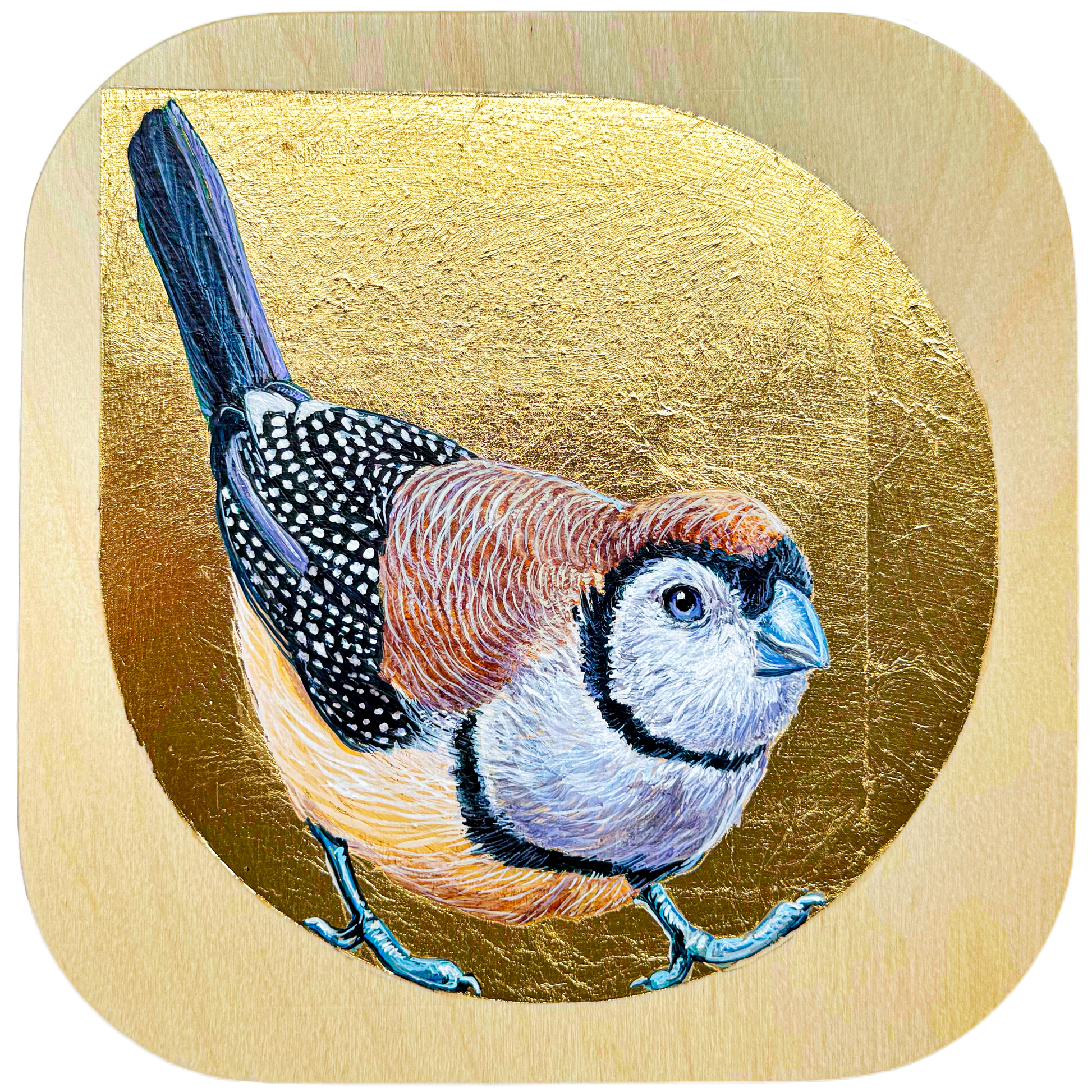 An adorable owl finch with its fine feathering details is the center of this painting. The background is gold leaf on a beautiful birch background with curved edges.