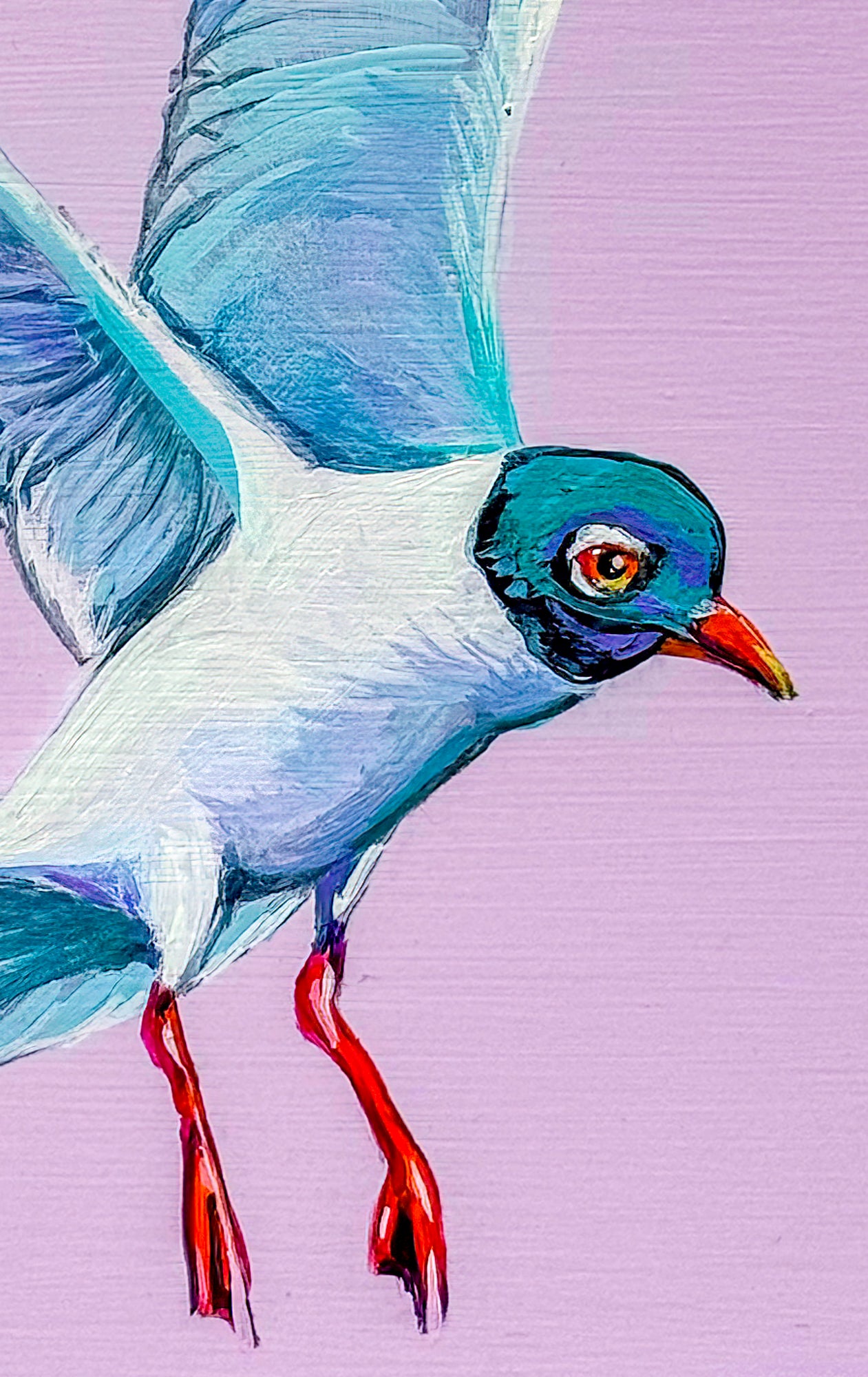 Closeup of a  black-headed seagull about to land; painted against a pink background with gold leaf enhancement at top of painting; 8"x8"; artist Marie Lavallee