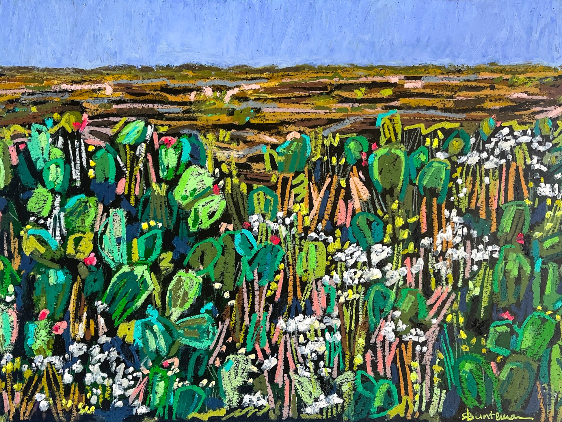 Oil pastel painting shows a cactus garden in the forefront in hues of greens and browns. In the distance is a brown landscape; artist Rachel Bunteman