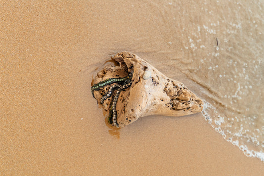 Natural driftwood sculpture decorated with beads, stones, and glass eye by Denise Marshall; 4"Wx4"H; in situ in sand