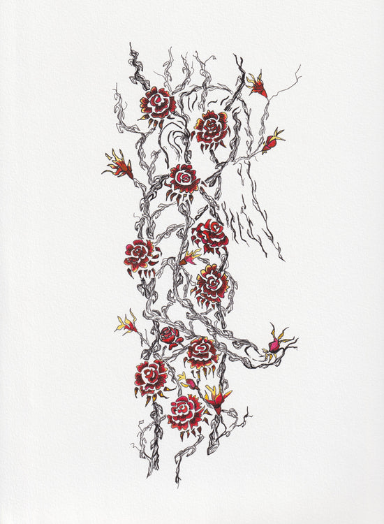 Pen and ink drawing of roses around a woman's body by artist Wendy Jo Manzano; measures 9