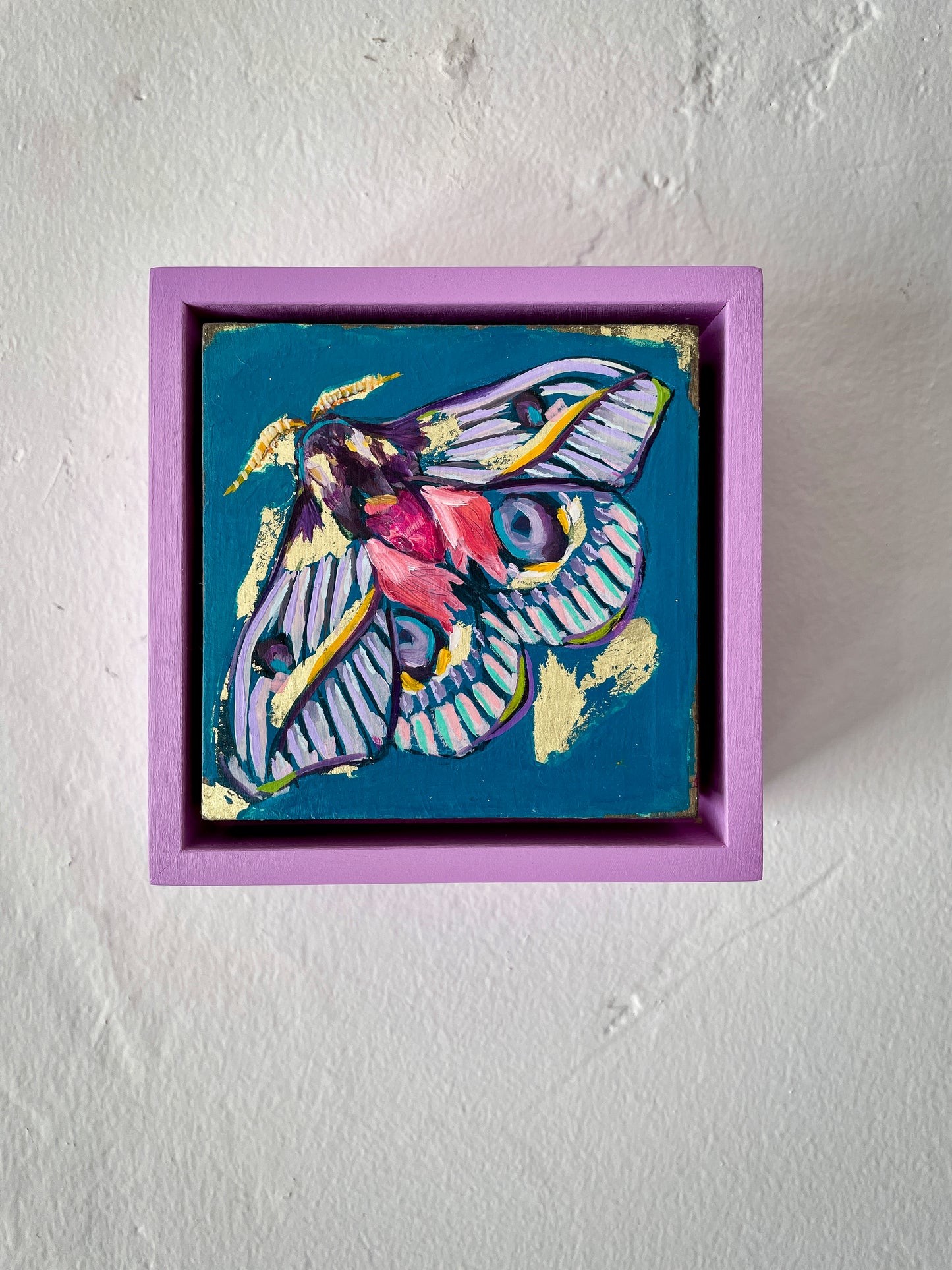 Colorful whimsical painting of a moth in blues, purples, pinks with touch of gold leaf; 5"x5" incl painted frame; artist Shaney Watters; shown on wall in situ