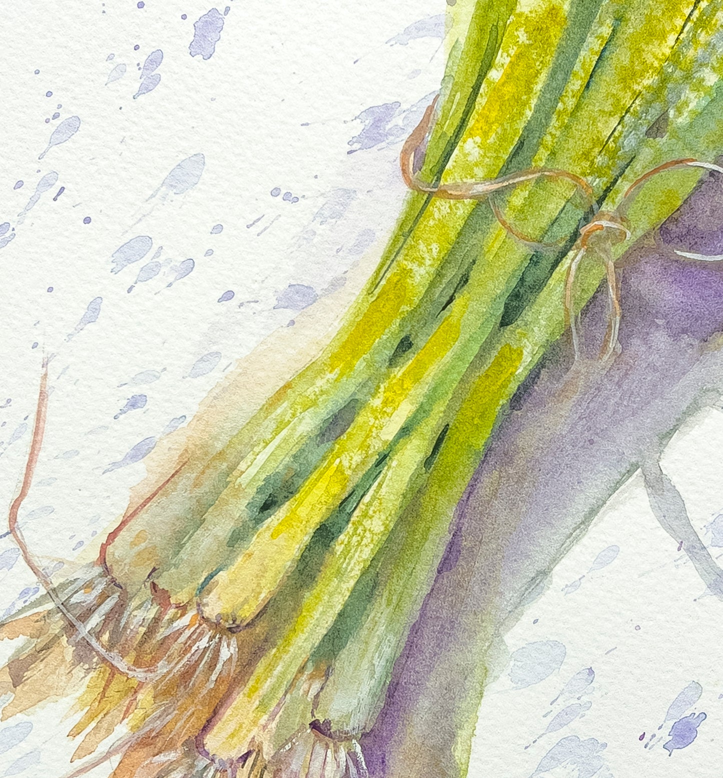 This image zooms in to see how the colors are formed by the blending of the water colors. There is fine detail of the roots on the end of each green onion. 