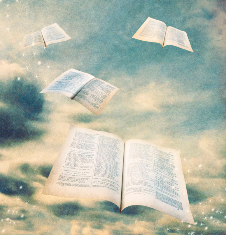 Zoomed in image of Lost Pages shows the book and the pages flying away in a cloud filled sky.