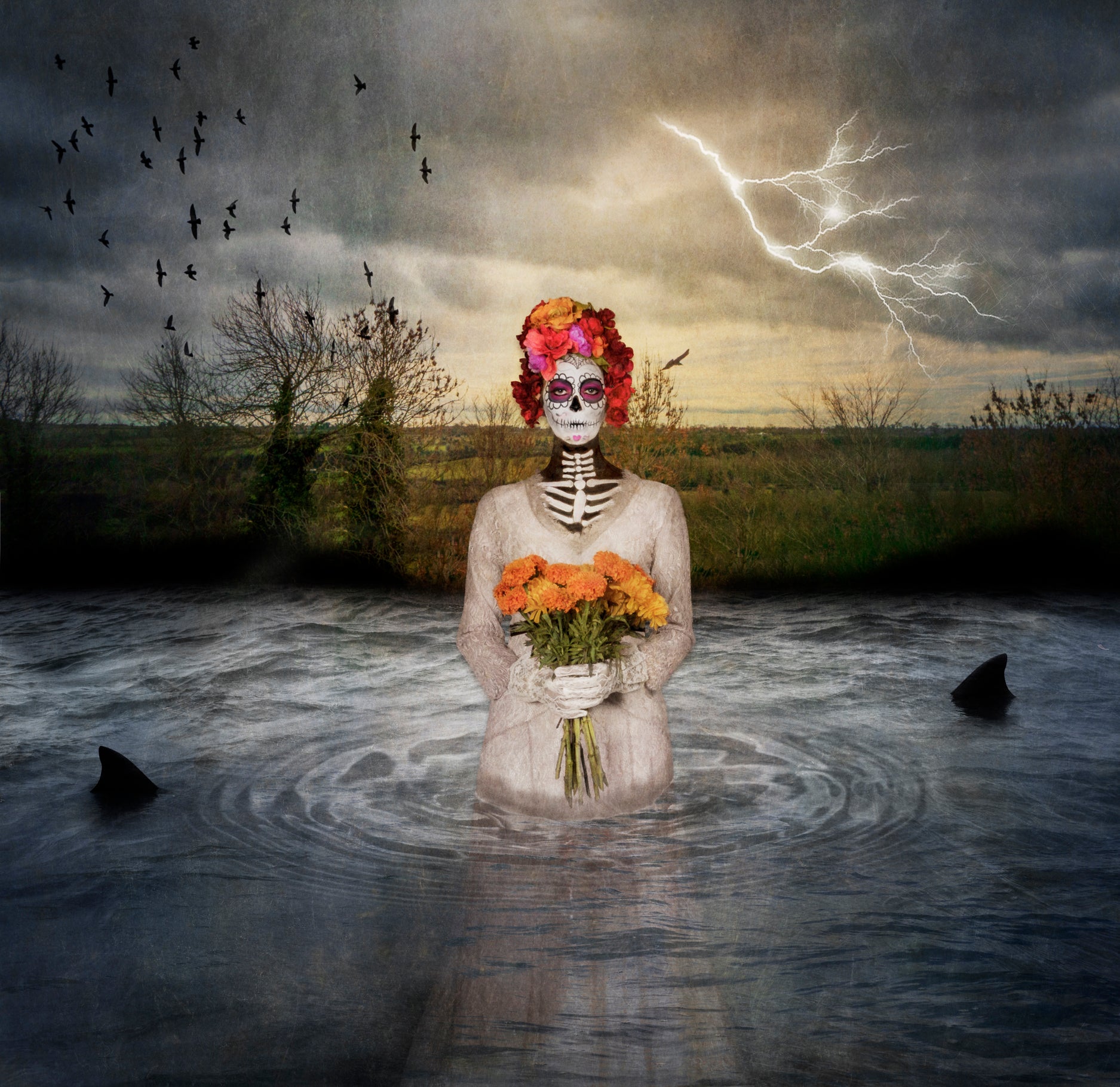 A Day of the Dead Catrina rises from a pond  holding a bouquet of flowers. Two shark fins can be seen in the water as a storm and lightening fill the sky. 