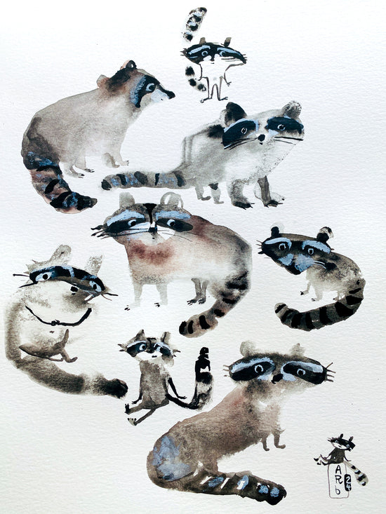 Eight individual raccoons, all donning masks, cavort around the page in different positions. Each has its own personality which is shown through their faces. The image is mostly black and white with hints of brown and blue.