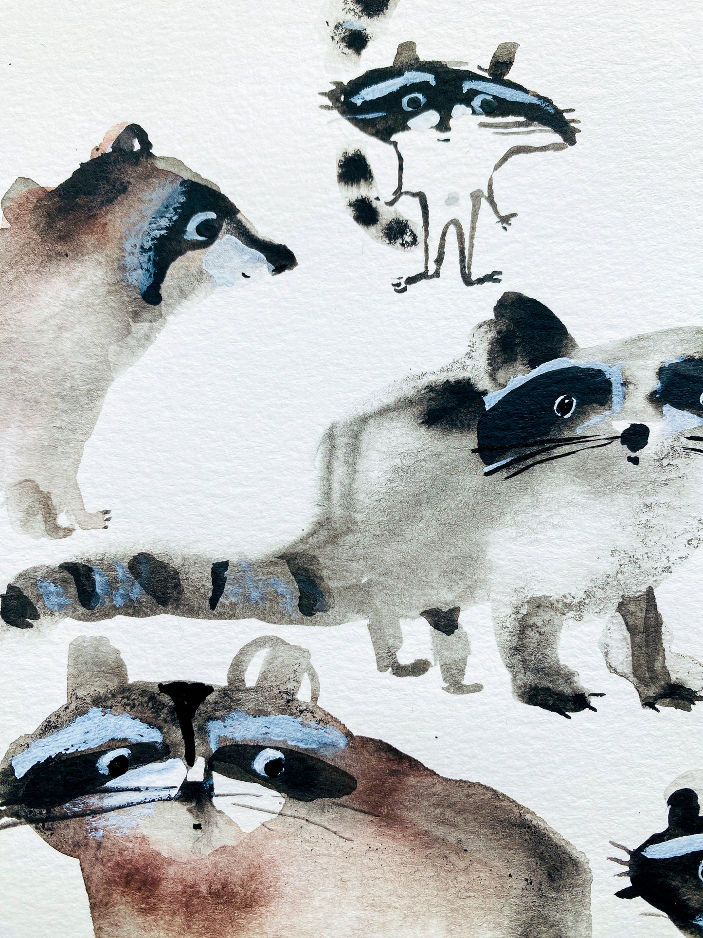 This image shows a close up of four of April Bedard's racoons. The detail shows their ringed tails, and their face masks with highlighted coloring of blue over the more muted monotones. 